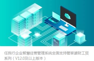 管家婆系列產(chǎn)品全面技術支持與下載服務